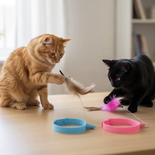 jouet pour chat collier interactif bleu rose avec chats