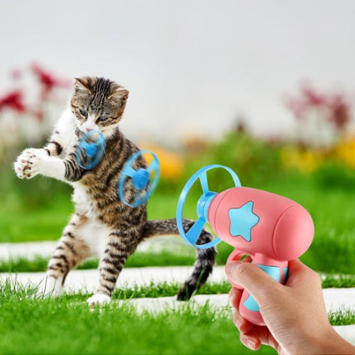 jouet pour chat lanceur mini frisbee rose chat jouant