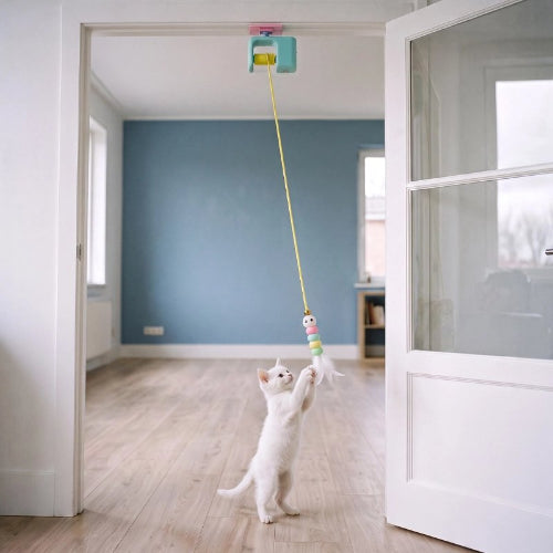 jouet pour chat yoyo automatique bleu chat jouant