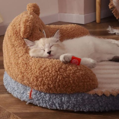 lit-pour-chat-ourson-reposant