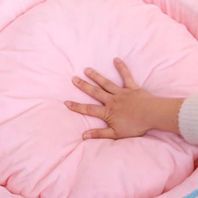 main sur coussin panier chatons multicolore