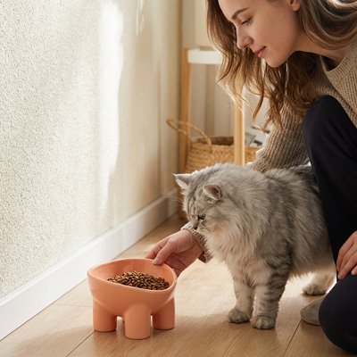 maitresse et chat avec gamelle chat anti chute couleur rose