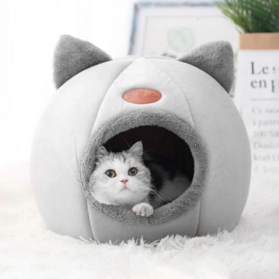 niche-chat-igloo-douillet