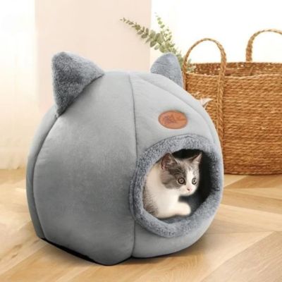 niche-chat-igloo-moelleux