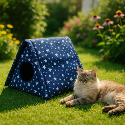 niche exterieur pour chat triangulaire bleu chat