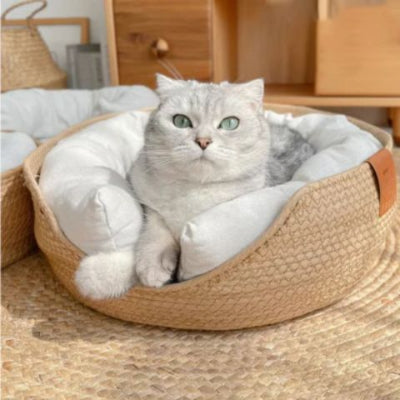 panier-chat-osier-cosy-confortable