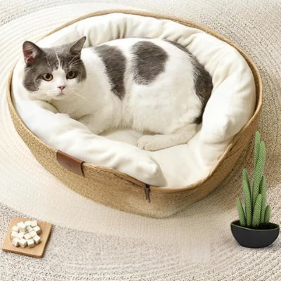 panier-chat-osier-cosy-moelleux