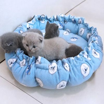 panier chaton avec cordon de serrage bleu