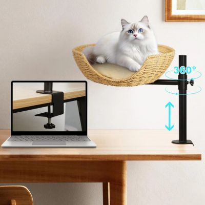 panier en osier pour chat suspendu avec chat blanc