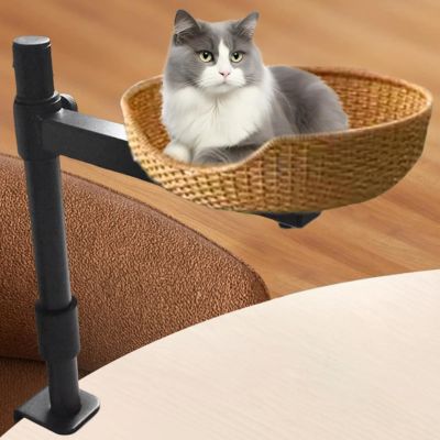 panier en osier pour chat suspendu sur table