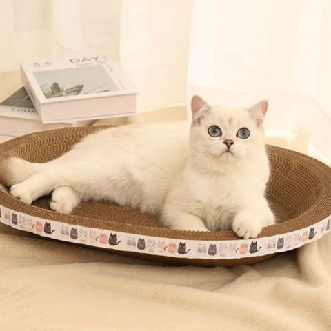 Panier pour chat | Griffoir
