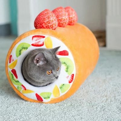 panier pour chat original tarte aux fruits avec chat dedans
