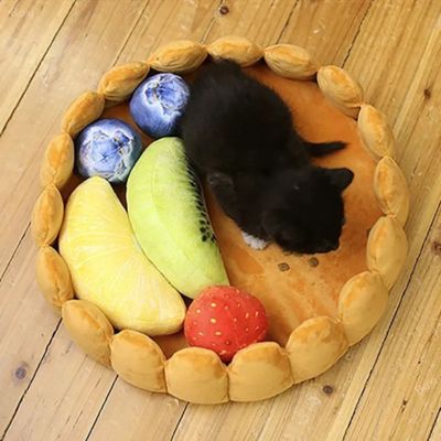 panier pour chat original tarte aux fruits avec chaton