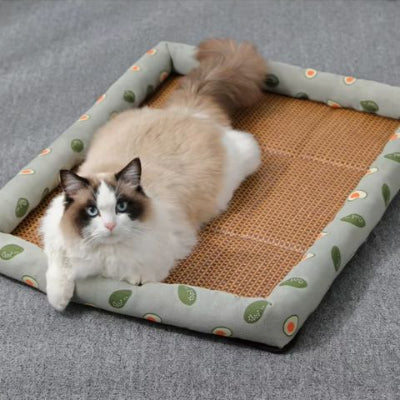 panier-pour-chat-rafraichissant-vert