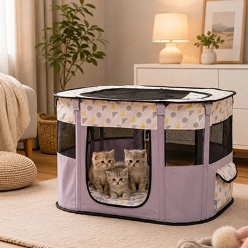parc pour chat violet avec chatons