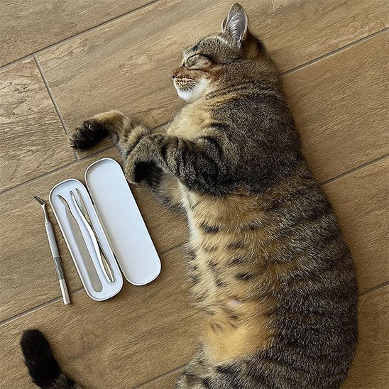 pince à tique professionnelle etui chat allonge