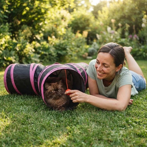 tunnel chat bandes roses maitresse chat jardin