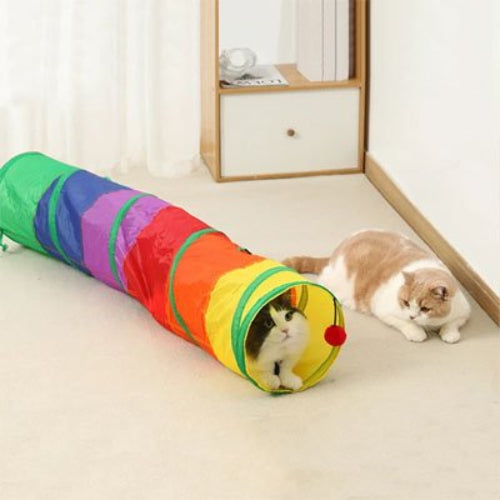 tunnel pour chat multicolore avec chats