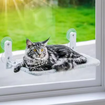 HAMAC POUR CHAT FENETRE | PLIABLE