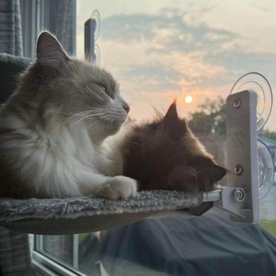 HAMAC POUR CHAT FENETRE | PLIABLE