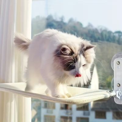 HAMAC POUR CHAT FENETRE | PLIABLE