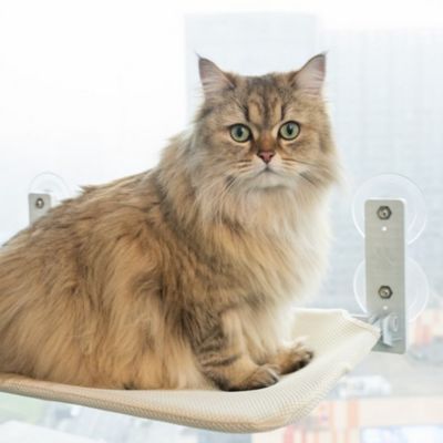 HAMAC POUR CHAT FENETRE | PLIABLE