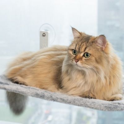 HAMAC POUR CHAT FENETRE | PLIABLE