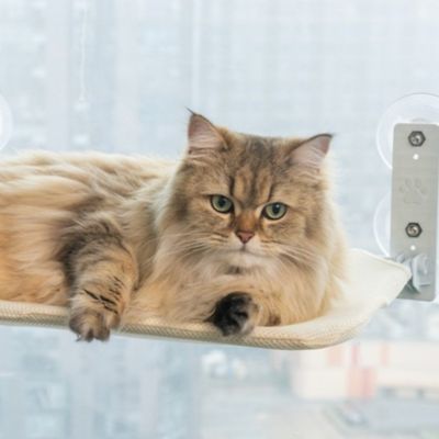 HAMAC POUR CHAT FENETRE | PLIABLE