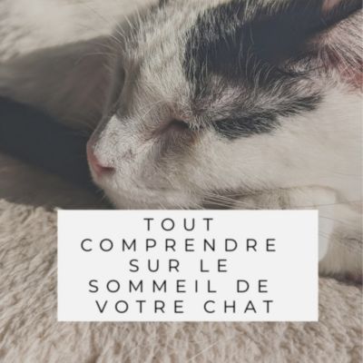 EBOOK - LE ROYAUME DES SIESTES