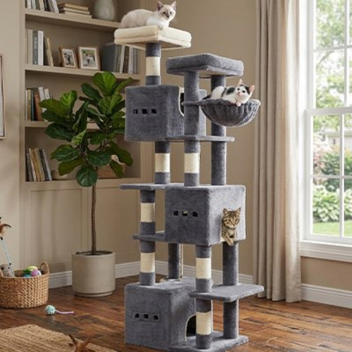 arbre à chat geant gris fonce chats allonges salon