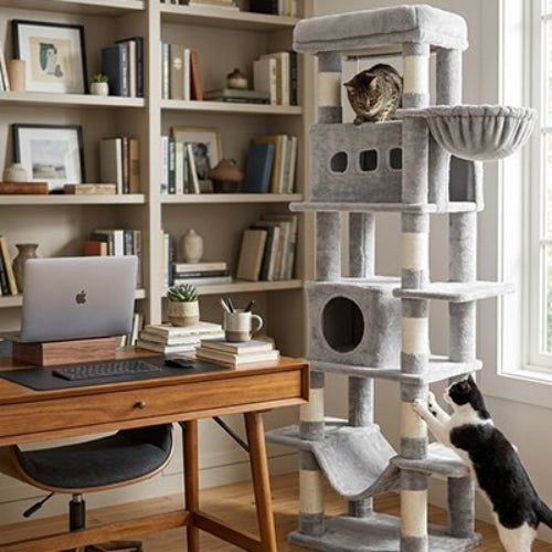 arbre à chat multi plateforme gris clair chats bureau