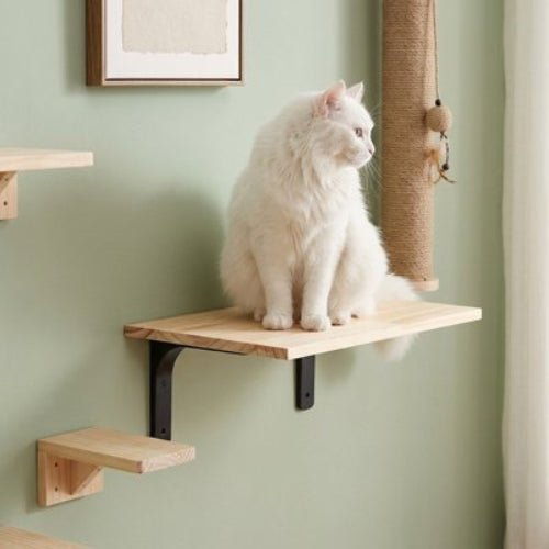 arbre a chat mural multifonction etagere chat assis