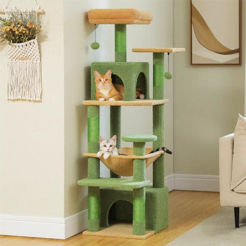 arbre à chat vert multi niveaux chats allonges salon