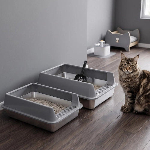 bac à litière chat gris multi tailles chat debout