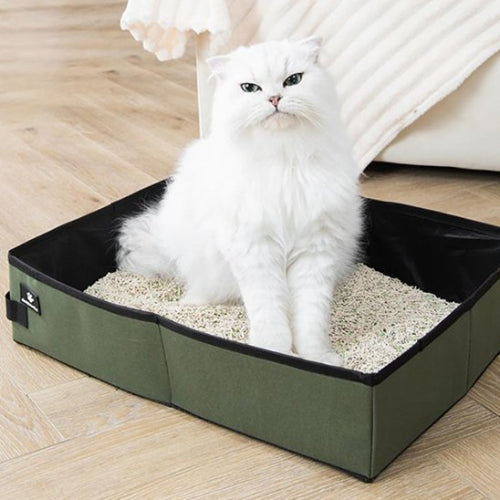 bac à litière chat transportable vert chat assis