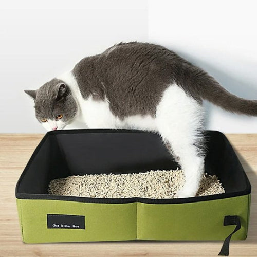 bac à litière chat transportable vert chat debout