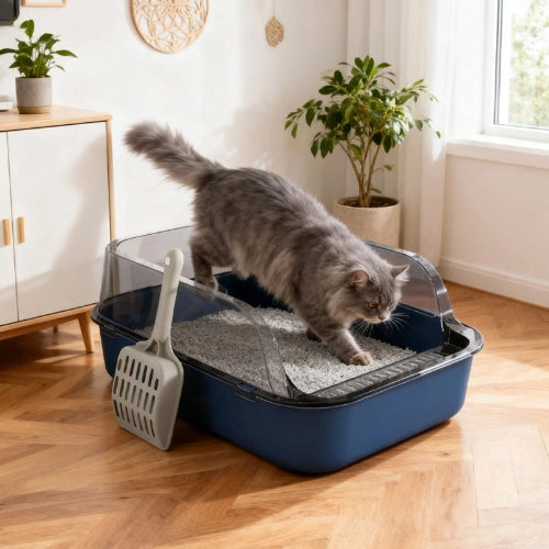 bac pour litière chat bleu avec chat