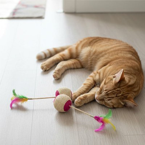 balle chat sisal plumes chat allonge