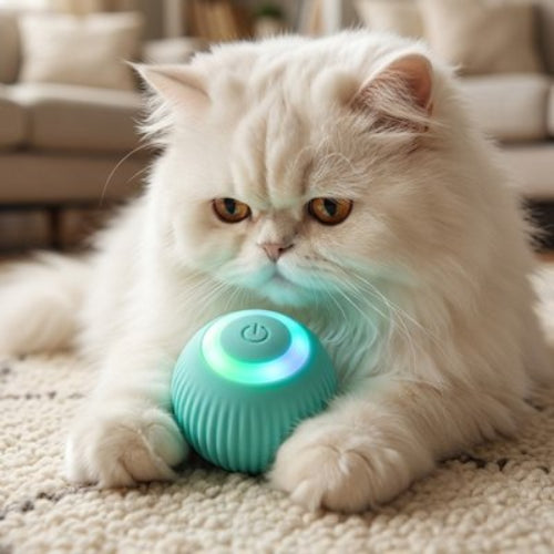 balle interactive chat bleu chat allonge