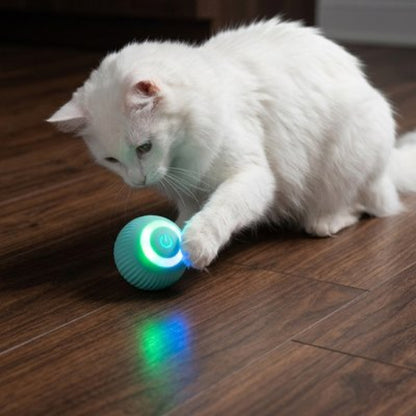 balle interactive chat bleu chat blanc attrapant