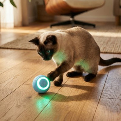 balle interactive chat bleu chat jouant