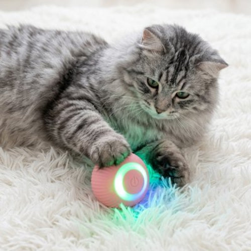 balle interactive chat rose chat allonge