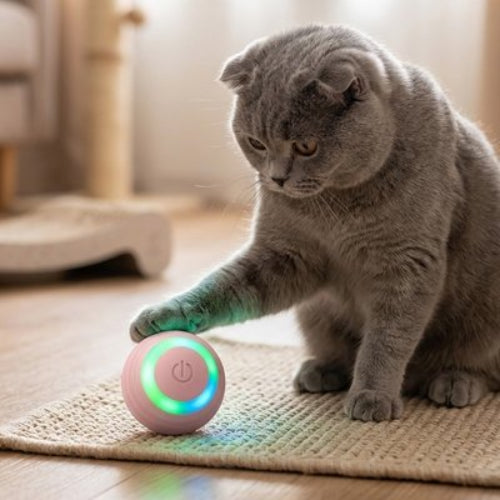 balle interactive chat rose chat attrapant