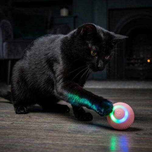 balle interactive chat rose chat noir attrapant