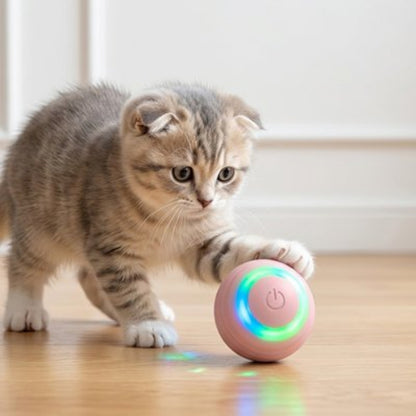 balle interactive chat rose chaton attrapant