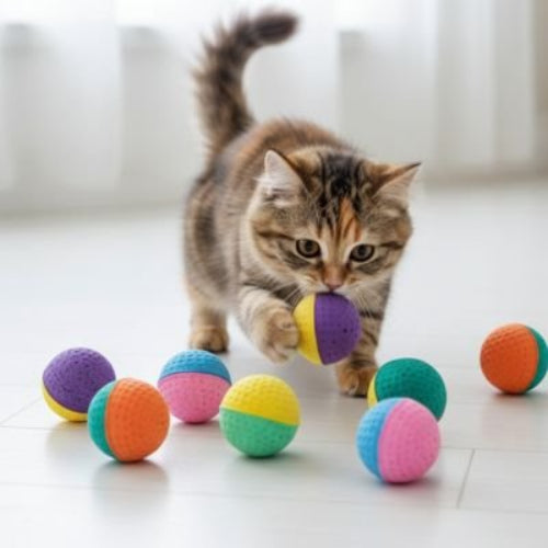 balle pour chat bicolore chat mordant