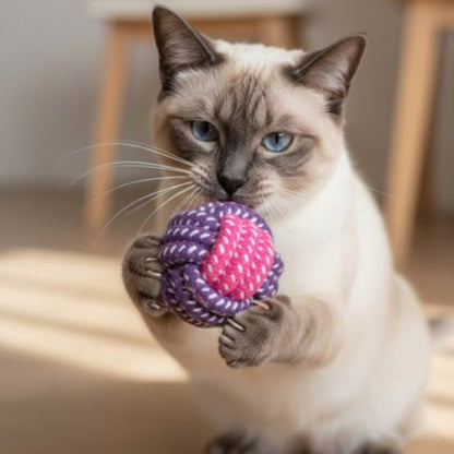 balle pour chat coton tresse chat attrapant