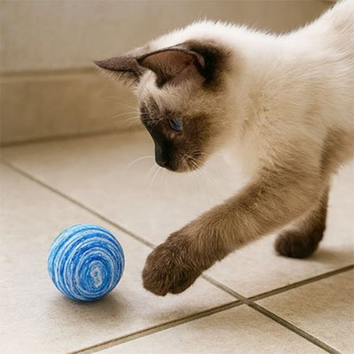 balle pour chat motifs spirale bleu avec chat