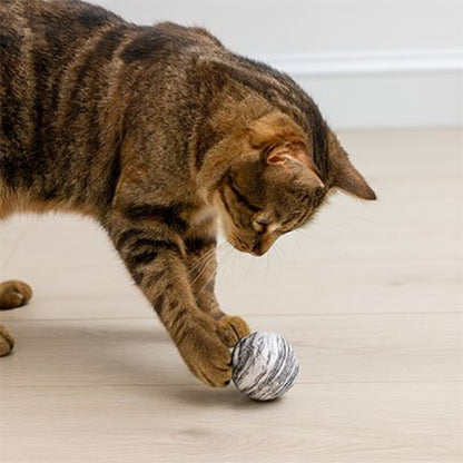 balle pour chat motifs spirale noir avec chat