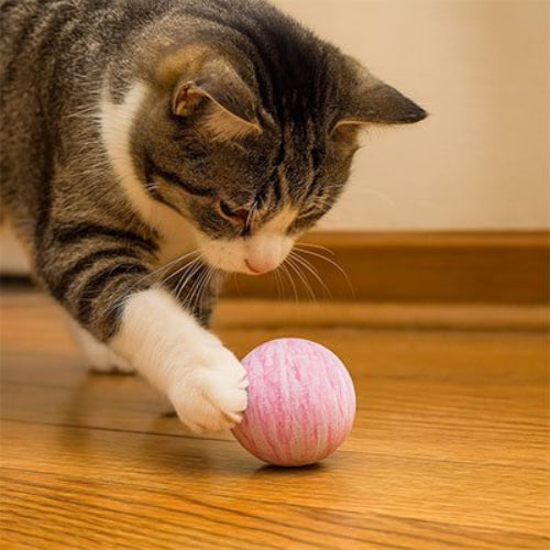 balle pour chat motifs spirale rose chat